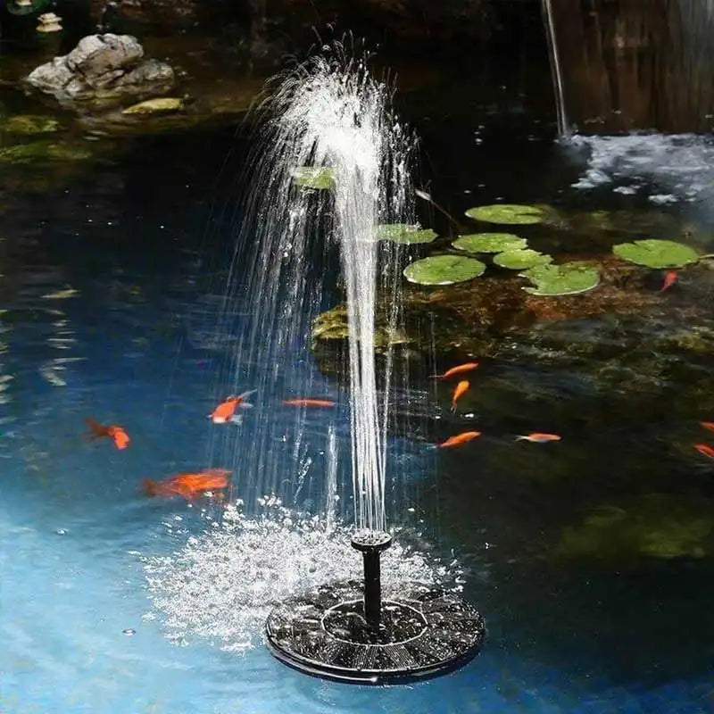 104bd21d533d9_c5e9cdcb0e4b4_gallery-1.webp