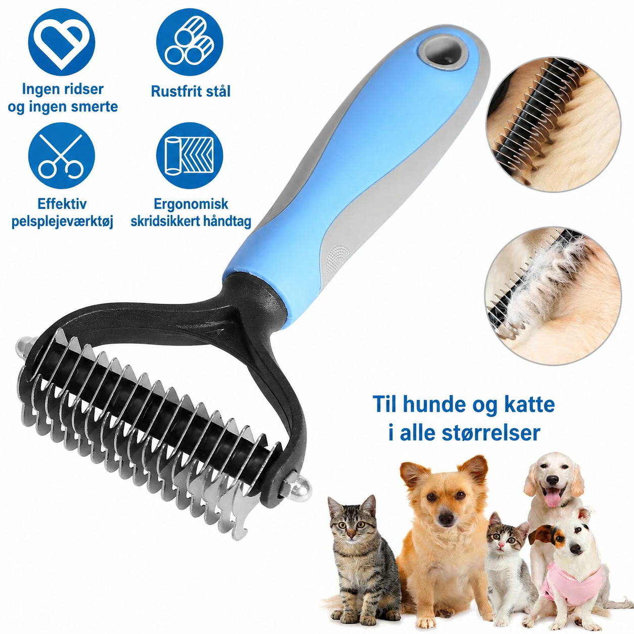 45c48cce2e2d7fbdea1afc51c7c6ad26_ef20c0c2-1c88-4b4c-b16b-67334ea7c426.png