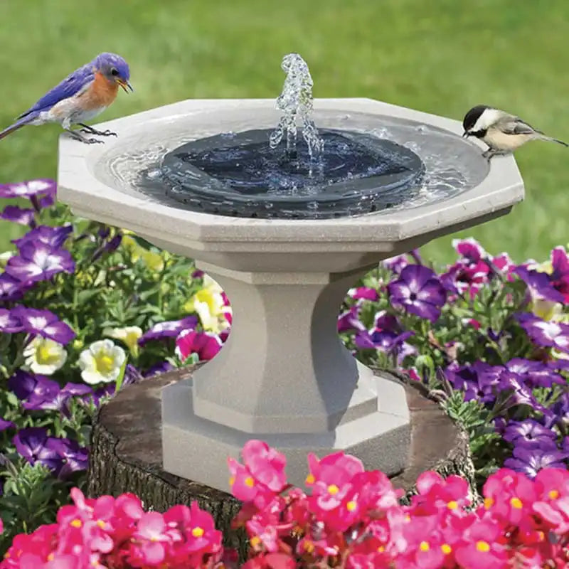 5e346813006e7_201f17e6dbf89_gallery-2.webp