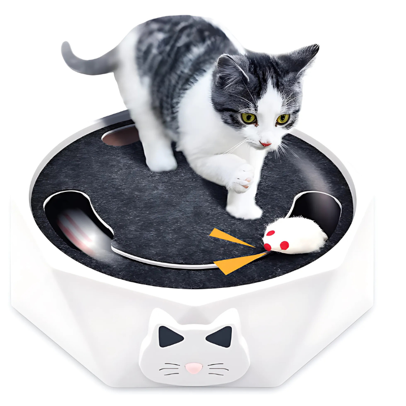 Main_42b4a170-e980-41be-93ef-56b8b4f734be.png