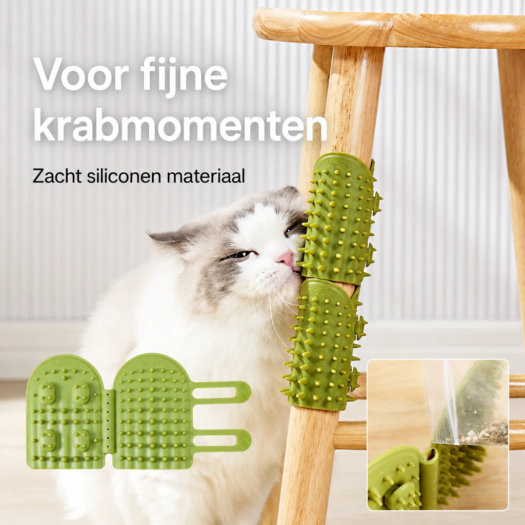 ai-main-01.webp