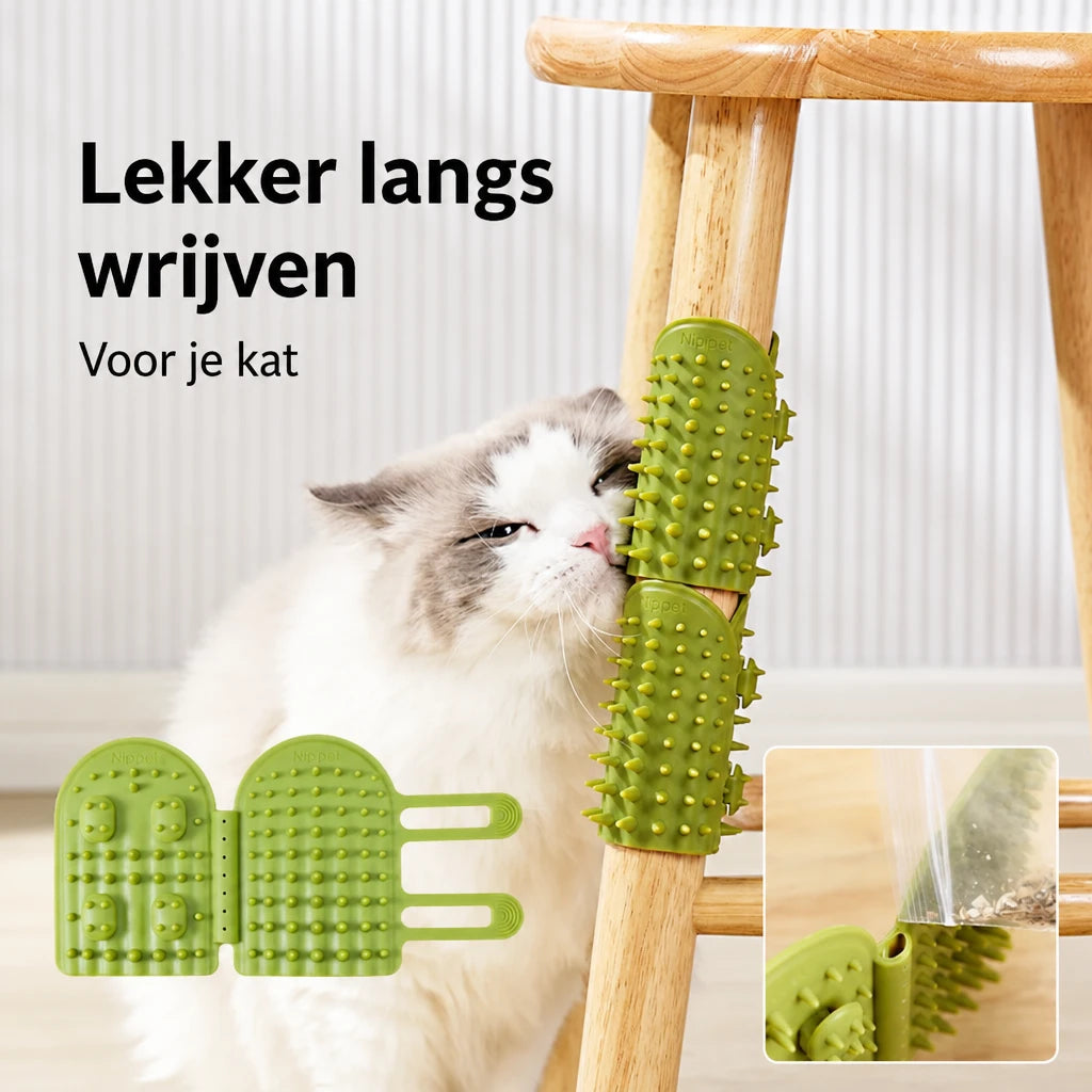 ai-main-02.webp