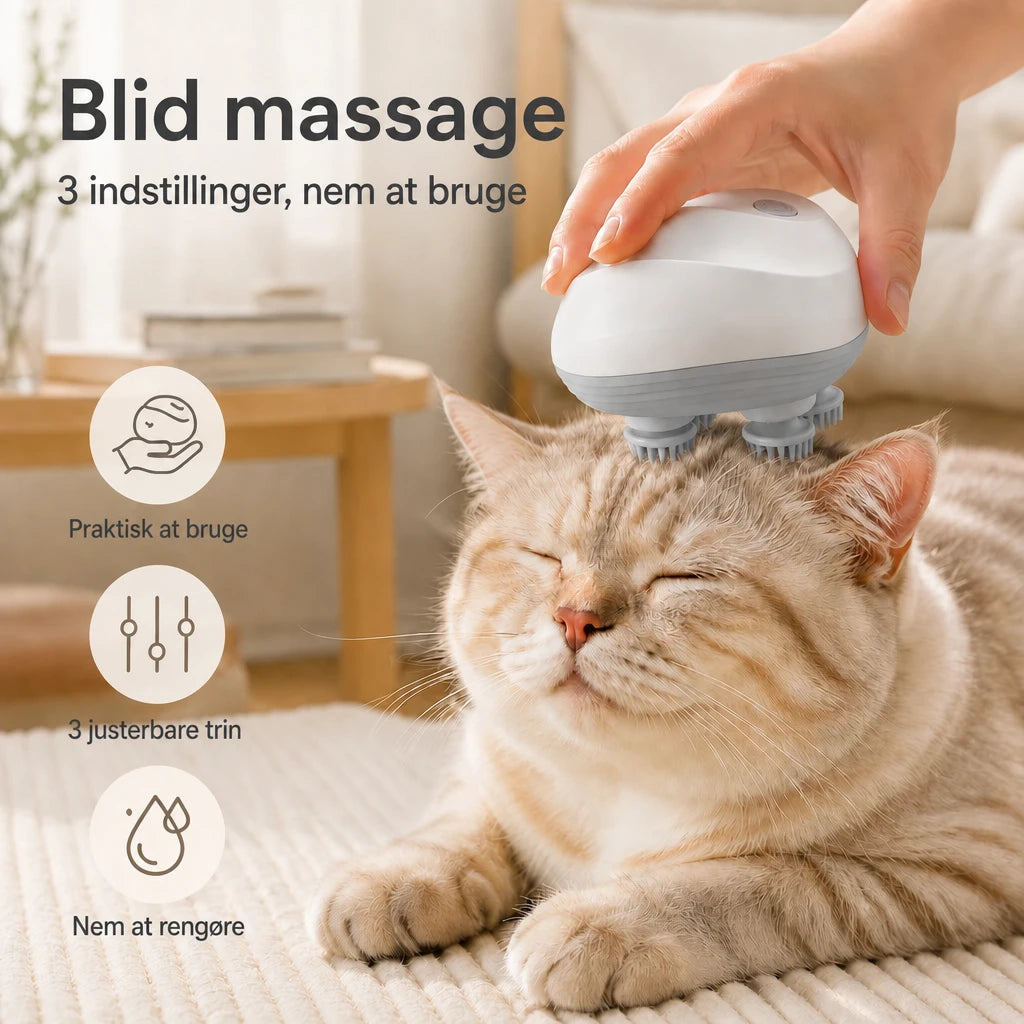 ai-main-03.webp