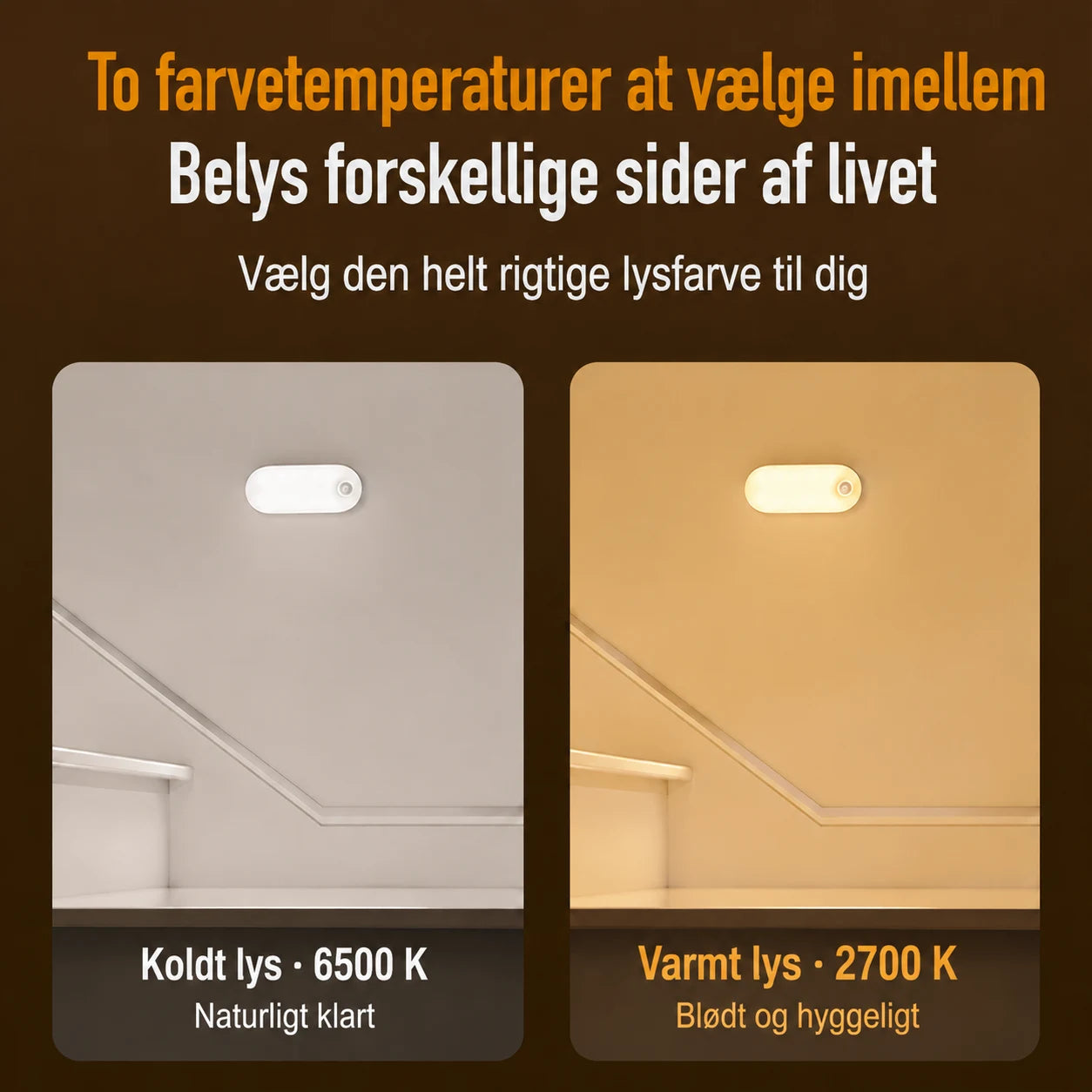 ai-main-05.webp