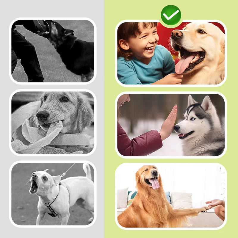 c4ca4238a0b923820dcc509a6f75849b_27c29861-1b48-476a-bd39-578c0e5db96e.webp