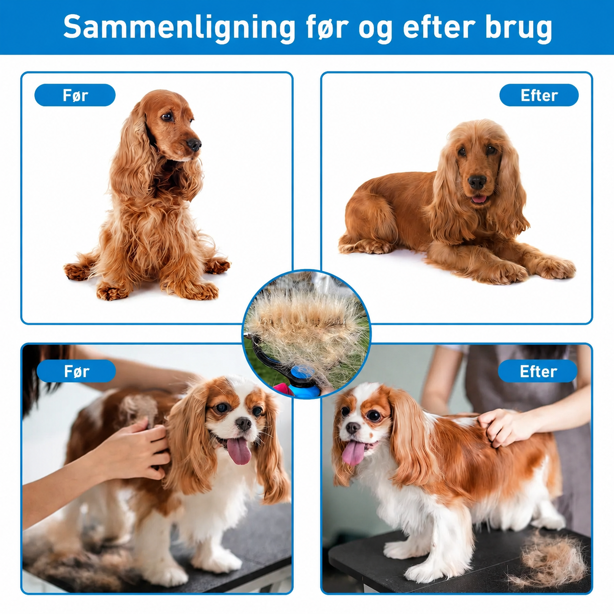 c9f0f895fb98ab9159f51fd0297e236d_fbed58e0-2b62-472e-9161-da68e0de9f98.png