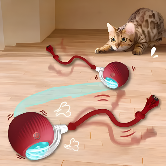 img_1_39db2361-2c6f-4572-856e-6d321cc52e94.png