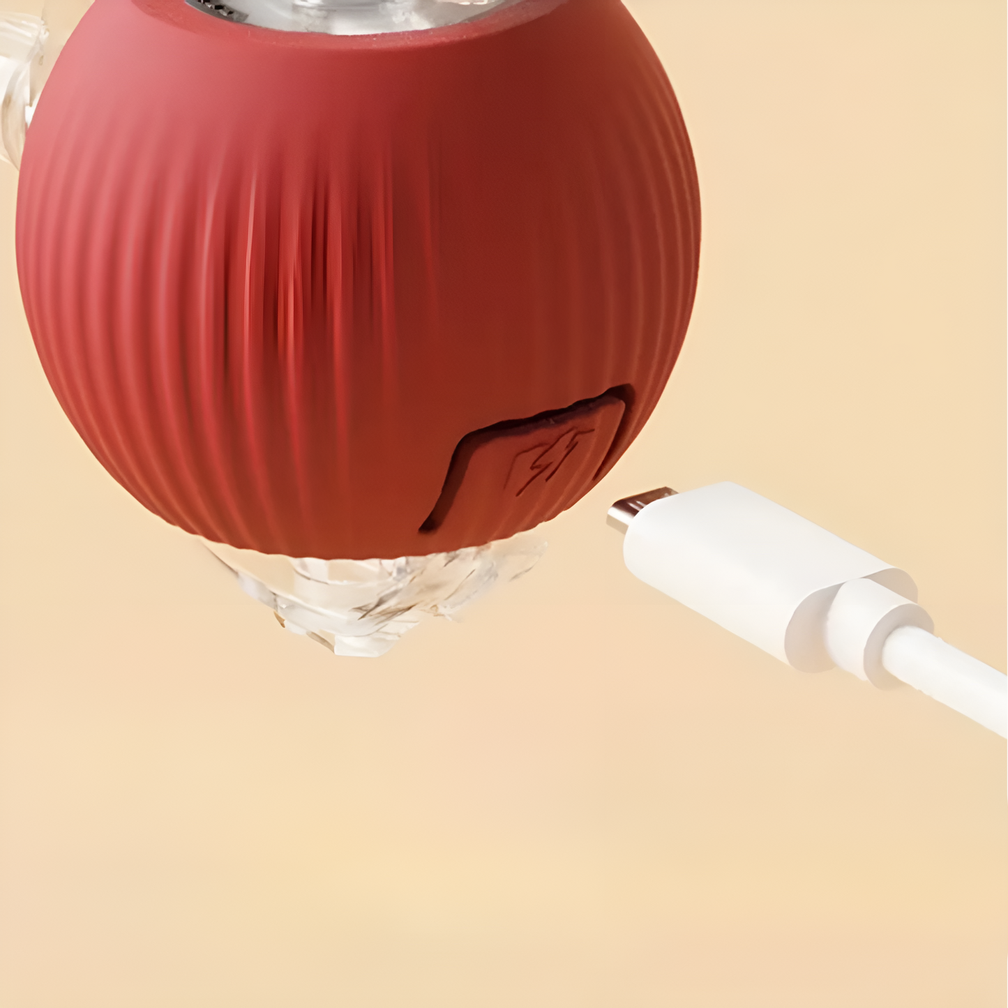 img_5_b1093c4a-1720-413a-9f03-29a6b45d4c21.png