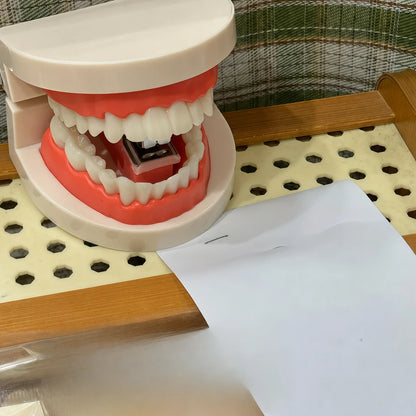 main-01.webp