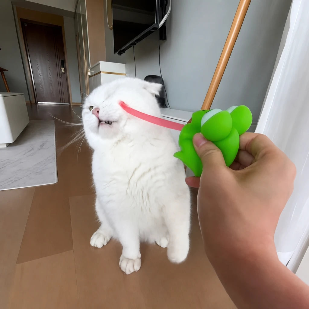 main-03.webp