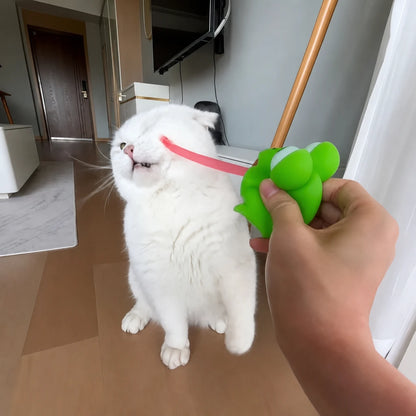 main-03.webp