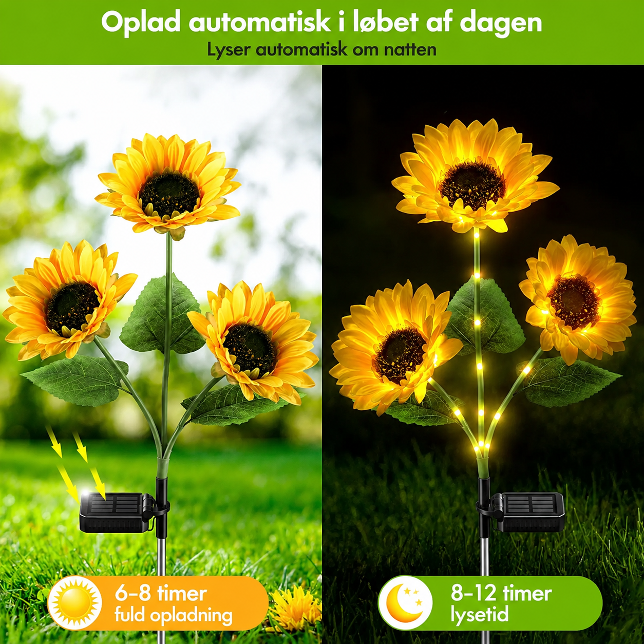 spp_20250625120354_b6a4ed842241b34ccb6ba1ada41ee5b1_6ab487c2-6cc2-4c60-bfe5-ae908d8279a7.png